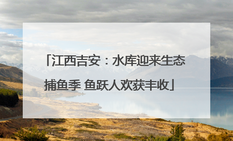 江西吉安：水库迎来生态捕鱼季 鱼跃人欢获丰收