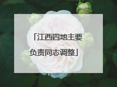 江西四地主要负责同志调整