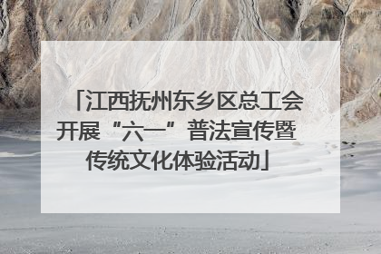 江西抚州东乡区总工会开展“六一”普法宣传暨传统文化体验活动