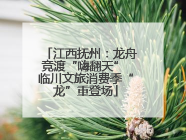 江西抚州：龙舟竞渡“嗨翻天” 临川文旅消费季“龙”重登场