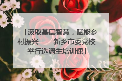 汲取基层智慧，赋能乡村振兴——新乡市委党校举行选调生培训课