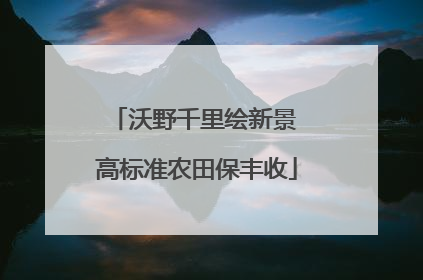 沃野千里绘新景 高标准农田保丰收
