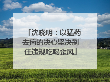沈晓明：以猛药去疴的决心坚决刹住违规吃喝歪风