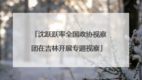 沈跃跃率全国政协视察团在吉林开展专题视察
