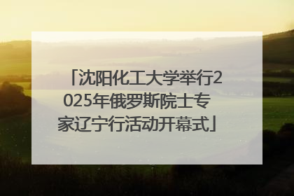 沈阳化工大学举行2025年俄罗斯院士专家辽宁行活动开幕式