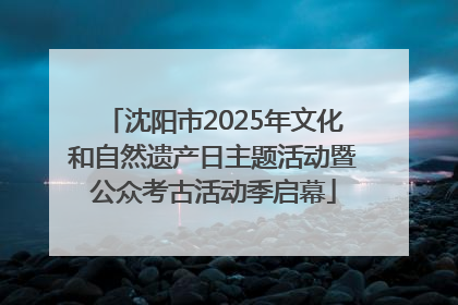 沈阳市2025年文化和自然遗产日主题活动暨公众考古活动季启幕
