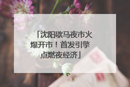 沈阳歇马夜市火爆开市！首发引擎点燃夜经济