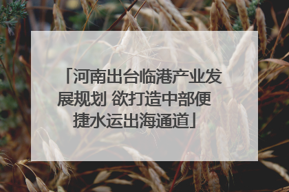 河南出台临港产业发展规划 欲打造中部便捷水运出海通道