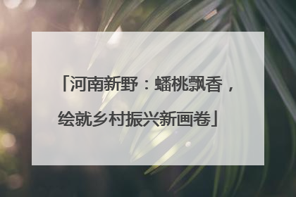 河南新野：蟠桃飘香，绘就乡村振兴新画卷