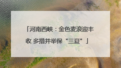 河南西峡：金色麦浪迎丰收 多措并举保“三夏”