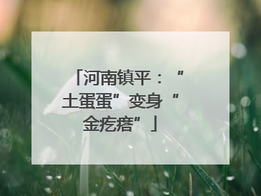 河南镇平：“土蛋蛋”变身“金疙瘩”