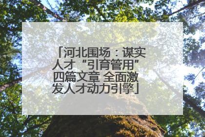 河北围场：谋实人才“引育管用”四篇文章 全面激发人才动力引擎