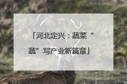 河北定兴：蔬菜“蔬”写产业新篇章