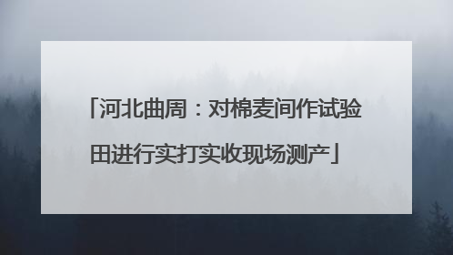 河北曲周：对棉麦间作试验田进行实打实收现场测产