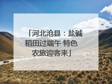 河北沧县：盐碱稻田过端午 特色农旅迎客来