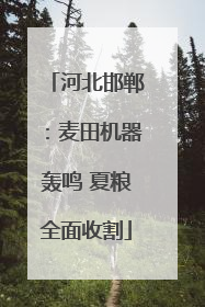 河北邯郸：麦田机器轰鸣 夏粮全面收割