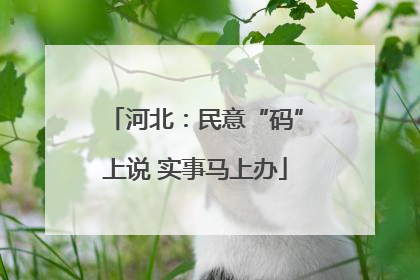 河北：民意“码”上说 实事马上办