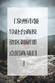 泉州市领导赴台商投资区调研重点招商项目