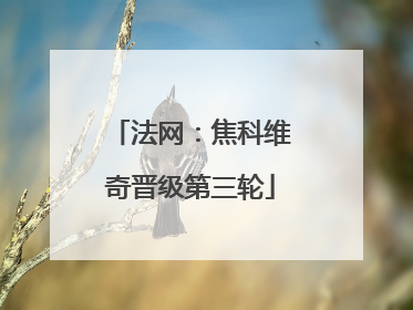 法网：焦科维奇晋级第三轮