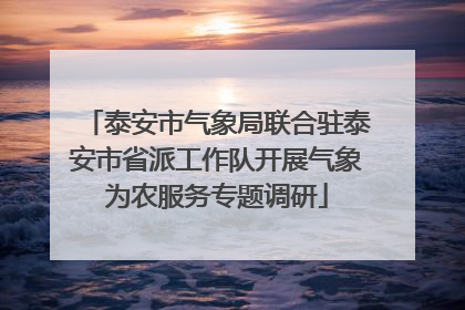 泰安市气象局联合驻泰安市省派工作队开展气象为农服务专题调研