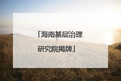 海南基层治理研究院揭牌