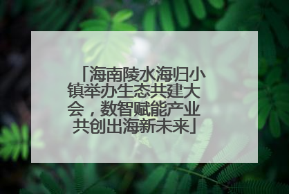 海南陵水海归小镇举办生态共建大会，数智赋能产业共创出海新未来