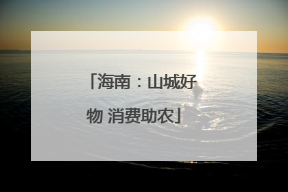 海南：山城好物 消费助农