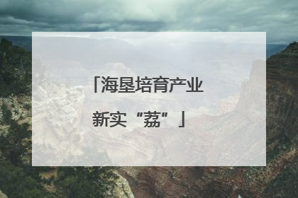 海垦培育产业新实“荔”