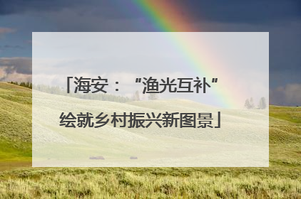 海安：“渔光互补” 绘就乡村振兴新图景