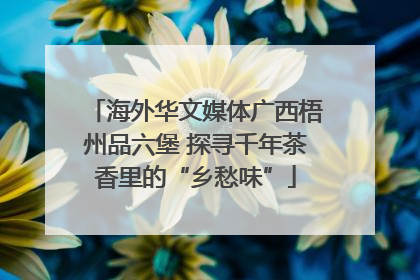 海外华文媒体广西梧州品六堡 探寻千年茶香里的“乡愁味”