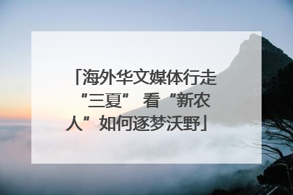 海外华文媒体行走“三夏” 看“新农人”如何逐梦沃野