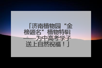 济南植物园“金榜题名”植物特辑——为中高考学子送上自然祝福！
