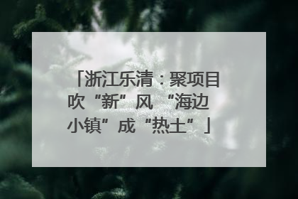 浙江乐清：聚项目吹“新”风 “海边小镇”成“热土”