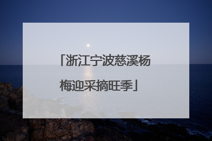 浙江宁波慈溪杨梅迎采摘旺季