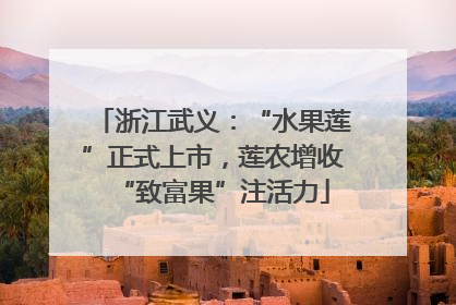 浙江武义：“水果莲”正式上市，莲农增收“致富果”注活力