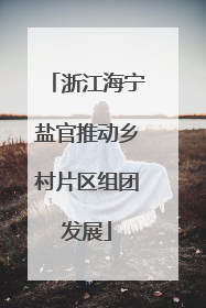 浙江海宁盐官推动乡村片区组团发展