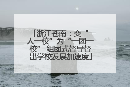 浙江苍南：变“一人一校”为“一团一校” 组团式督导督出学校发展加速度
