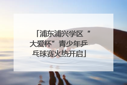 浦东浦兴学区“大爱杯”青少年乒乓球赛火热开启