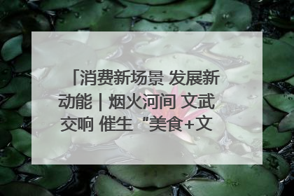消费新场景 发展新动能｜烟火河间 文武交响 催生“美食+文化”消费新场景