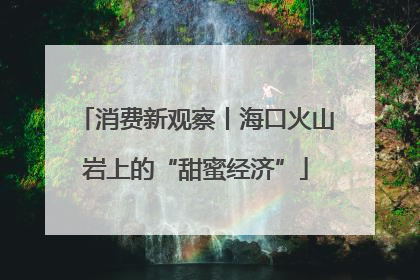 消费新观察丨海口火山岩上的“甜蜜经济”