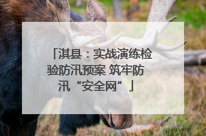 淇县：实战演练检验防汛预案 筑牢防汛“安全网”