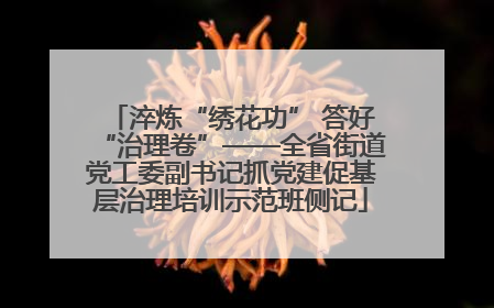 淬炼“绣花功” 答好“治理卷”——全省街道党工委副书记抓党建促基层治理培训示范班侧记