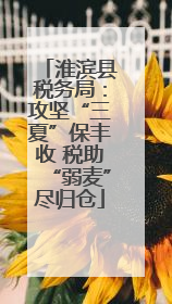 淮滨县税务局：攻坚“三夏”保丰收 税助“弱麦”尽归仓