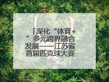 深化“体育+”多元跨界融合发展——江苏省首届匹克球大赛在无锡开赛