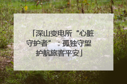 深山变电所“心脏守护者”：孤独守望护航旅客平安