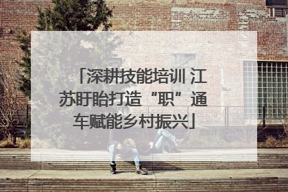 深耕技能培训 江苏盱眙打造“职”通车赋能乡村振兴