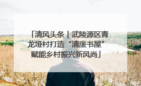 清风头条｜武陵源区青龙垭村打造“清廉书屋”赋能乡村振兴新风尚