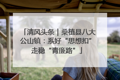 清风头条｜桑植县八大公山镇：系好“思想扣” 走稳“青廉路”
