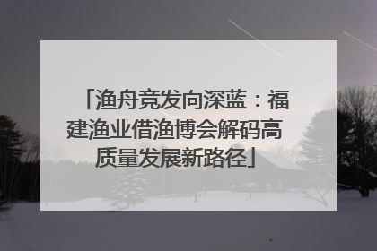 渔舟竞发向深蓝：福建渔业借渔博会解码高质量发展新路径