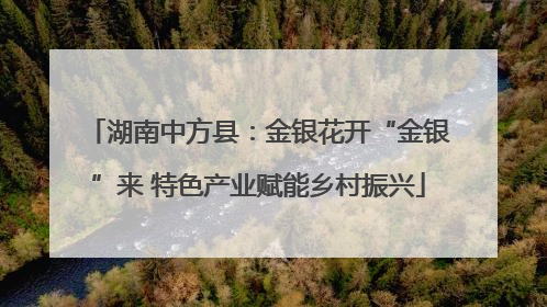 湖南中方县：金银花开“金银”来 特色产业赋能乡村振兴